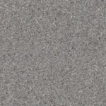 Shell Grey
