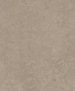 3.2Mm Sparrow