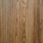 Spotted Gum