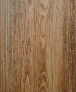 Golden Field Spotted Gum