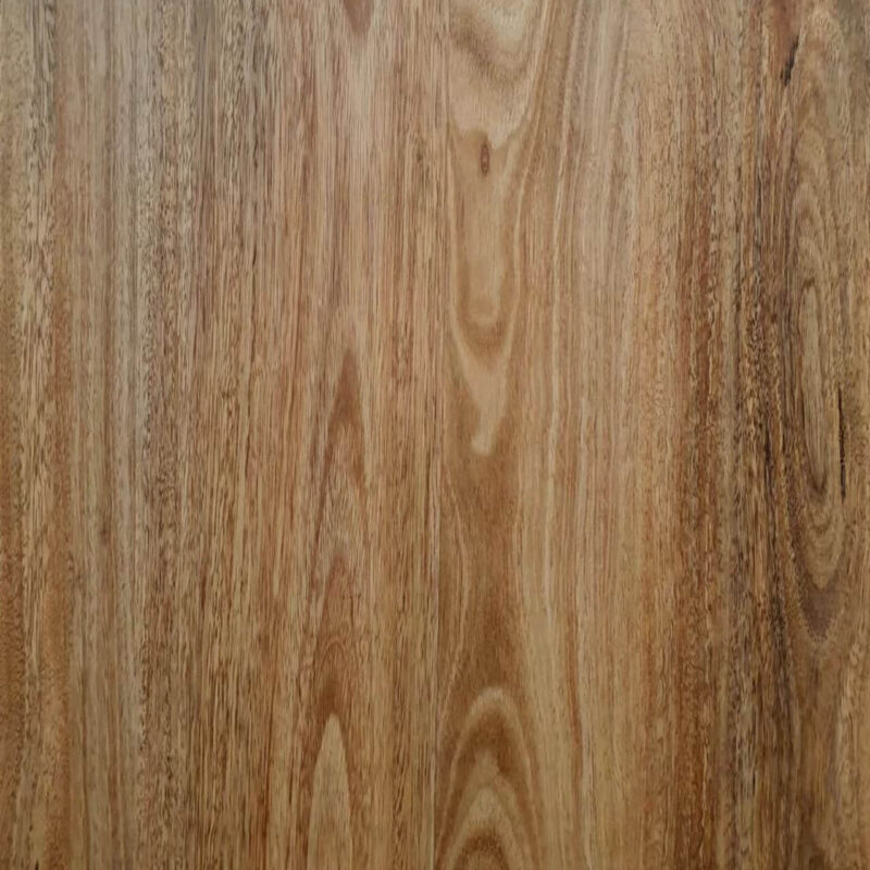 Golden Field Spotted Gum