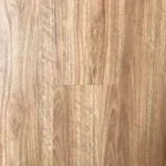 Blackbutt