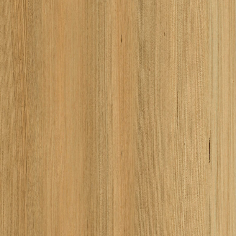 Golden Field Tas Oak