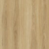 Golden Field Blackbutt