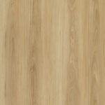 Blackbutt
