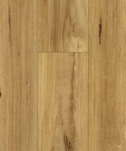Fiddleback — Casita Laminates