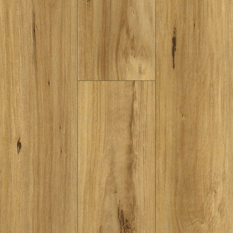 Fiddleback — Casita Laminates