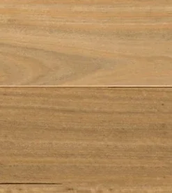 Blackbutt