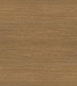Spotted Gum