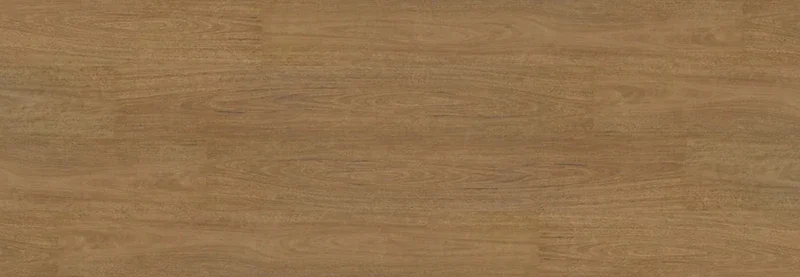 Spotted Gum