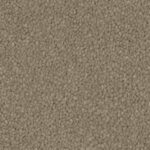 Soft Taupe 550