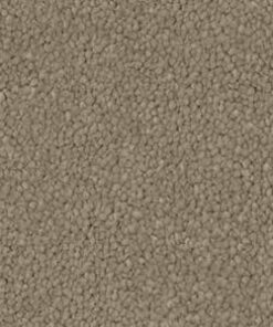 Soft Taupe 550 — Refined Appeal Collection