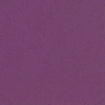 Riverina Plum