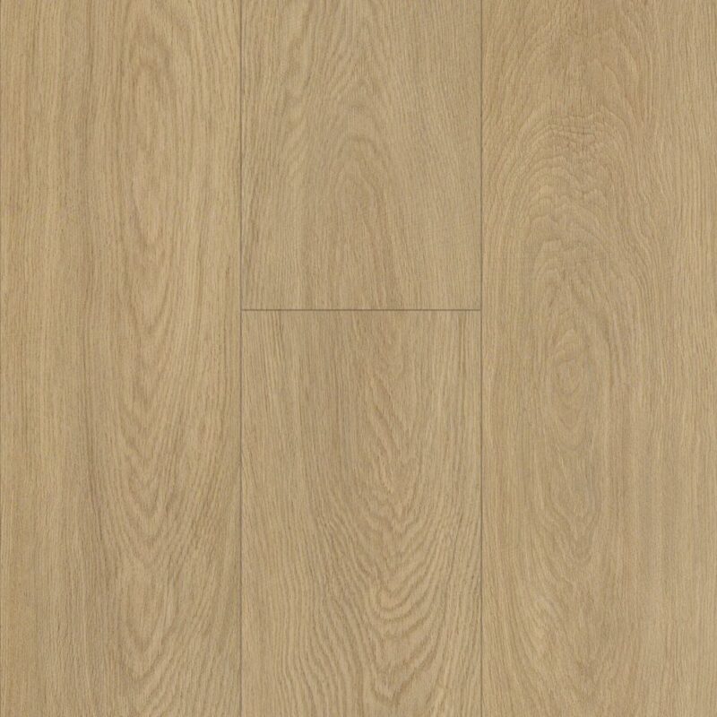 Hazelwood — Resioak Hybrids