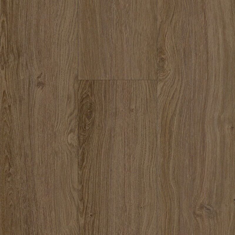 Tawny — Resioak Hybrids