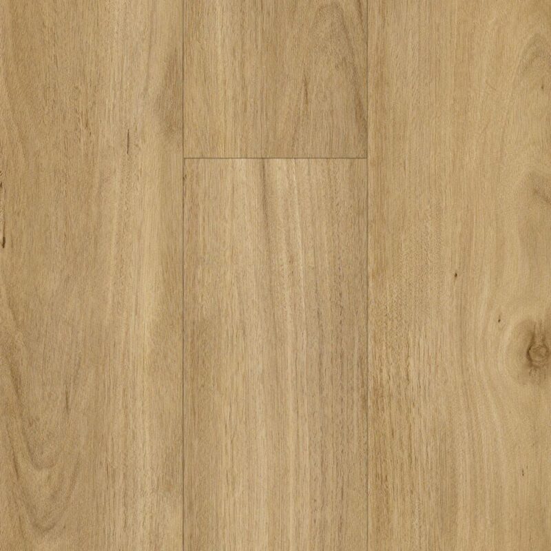 Mayfield — Resioak Hybrids