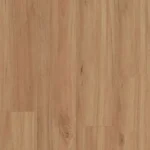 Blackbutt