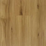 Blackbutt