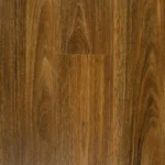 Spotted Gum