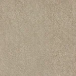 Warm Neutral