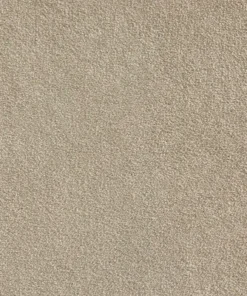 Warm Neutral