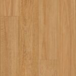 Blackbutt