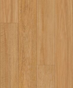 Golden Field Blackbutt
