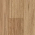 Blackbutt