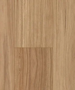 Blackbutt