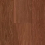 Sydney Blue Gum