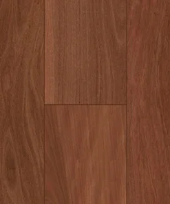 Sydney Blue Gum
