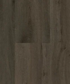 NSW Spotted Gum