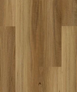 NSW Spotted Gum