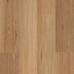 Native Blackbutt