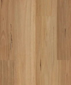 Native Blackbutt