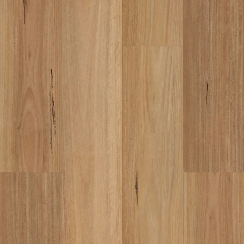 Native Blackbutt