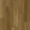 Native Spotted Gum