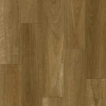 Native Spotted Gum