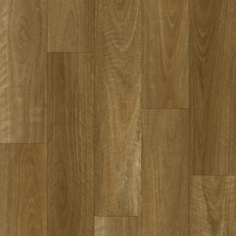 Native Spotted Gum