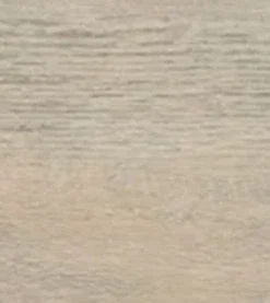 Coastline Oak