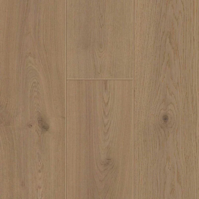 Maes — board close-up