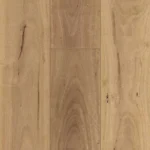 Blackbutt