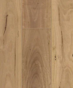 Blackbutt — board close-up