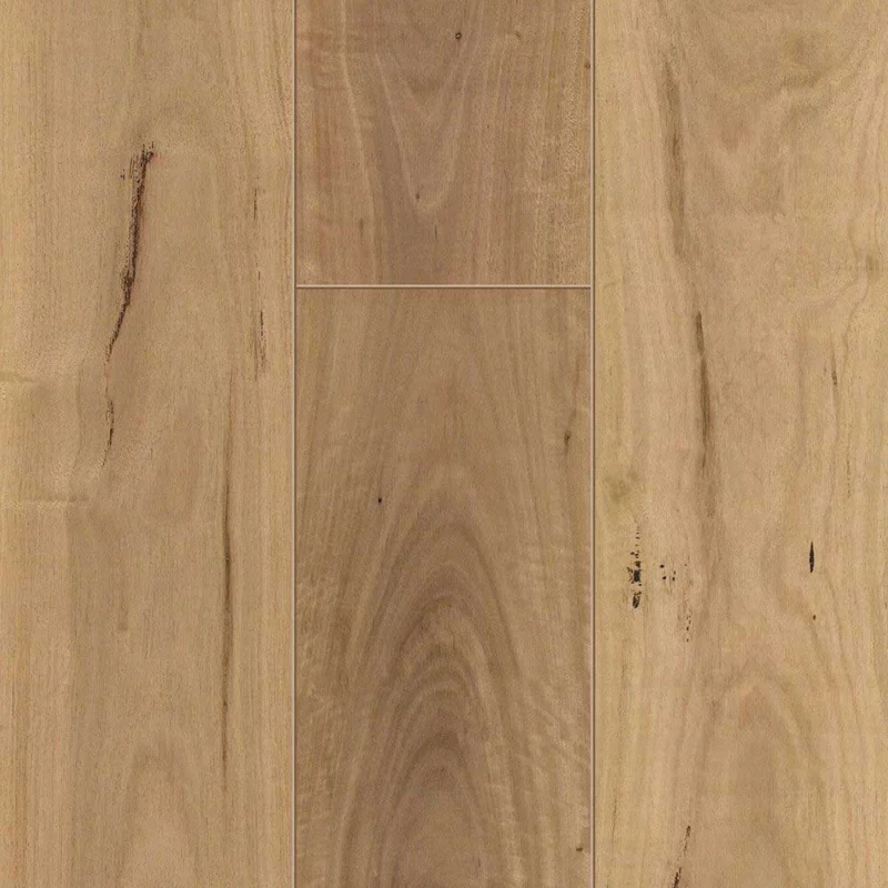 Blackbutt — board close-up