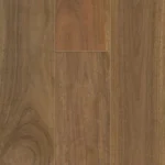 Spotted Gum