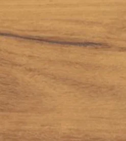 Embered Blackbutt