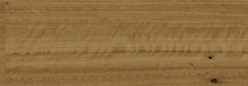 Southern Blackbutt