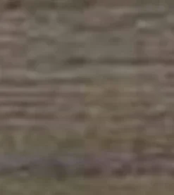 Dark Limed Oak