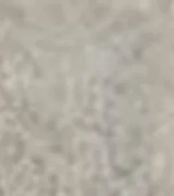 Light Grey Concrete
