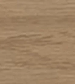 Watermill Elm